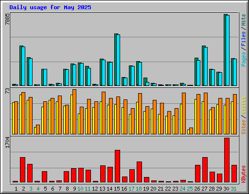 Daily usage for May 2025