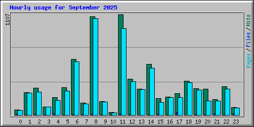 Hourly usage for September 2025